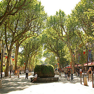 Cours Mirabeau Aix en Provence