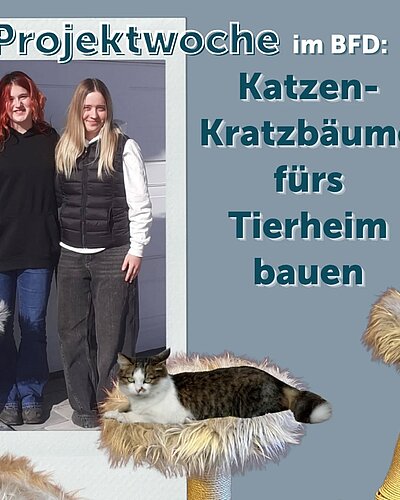 Was macht man eigentlich so bei der Projektwoche der BFD-Bildungsseminare?...